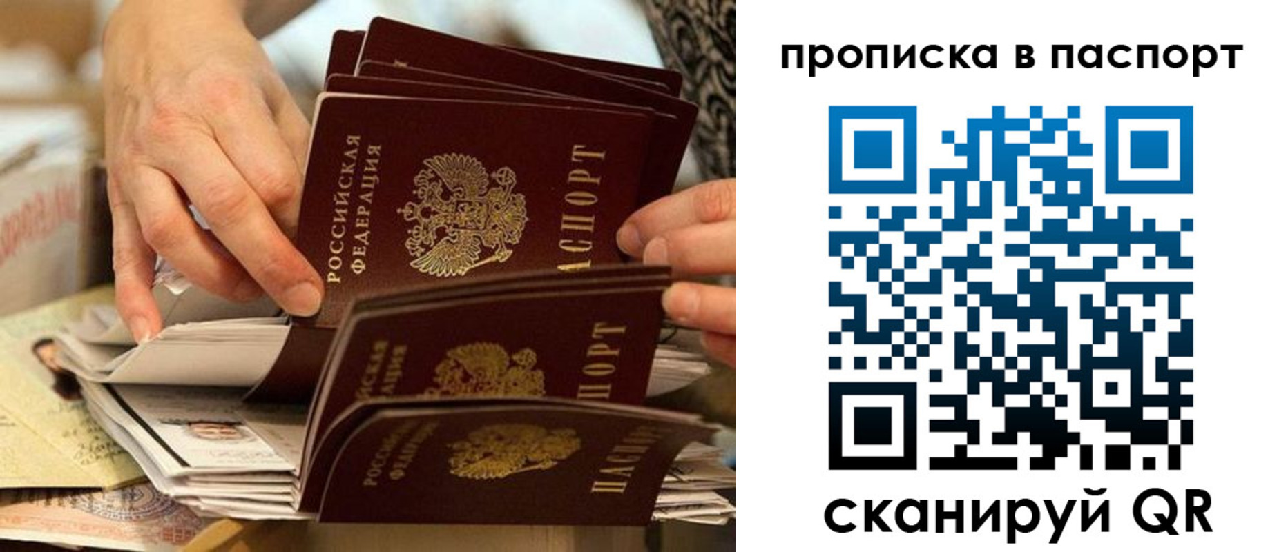 прописка законно в Луге